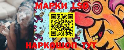 сатива Аргун