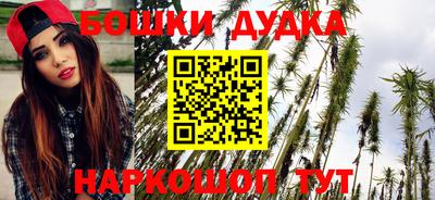 сатива Аргун