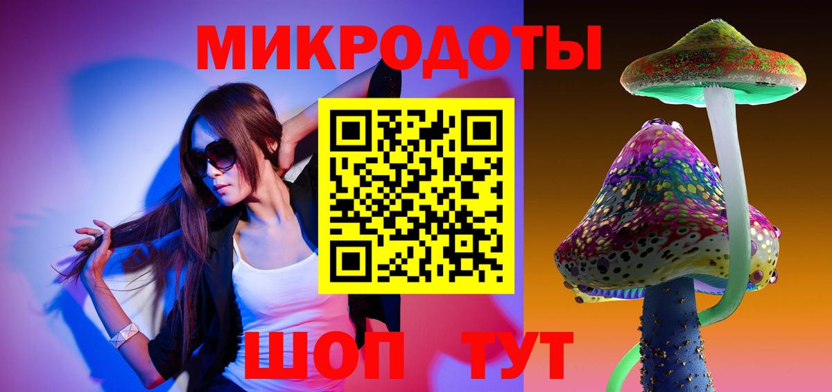 Псилоцибиновые грибы Psilocybine cubensis Белорецк